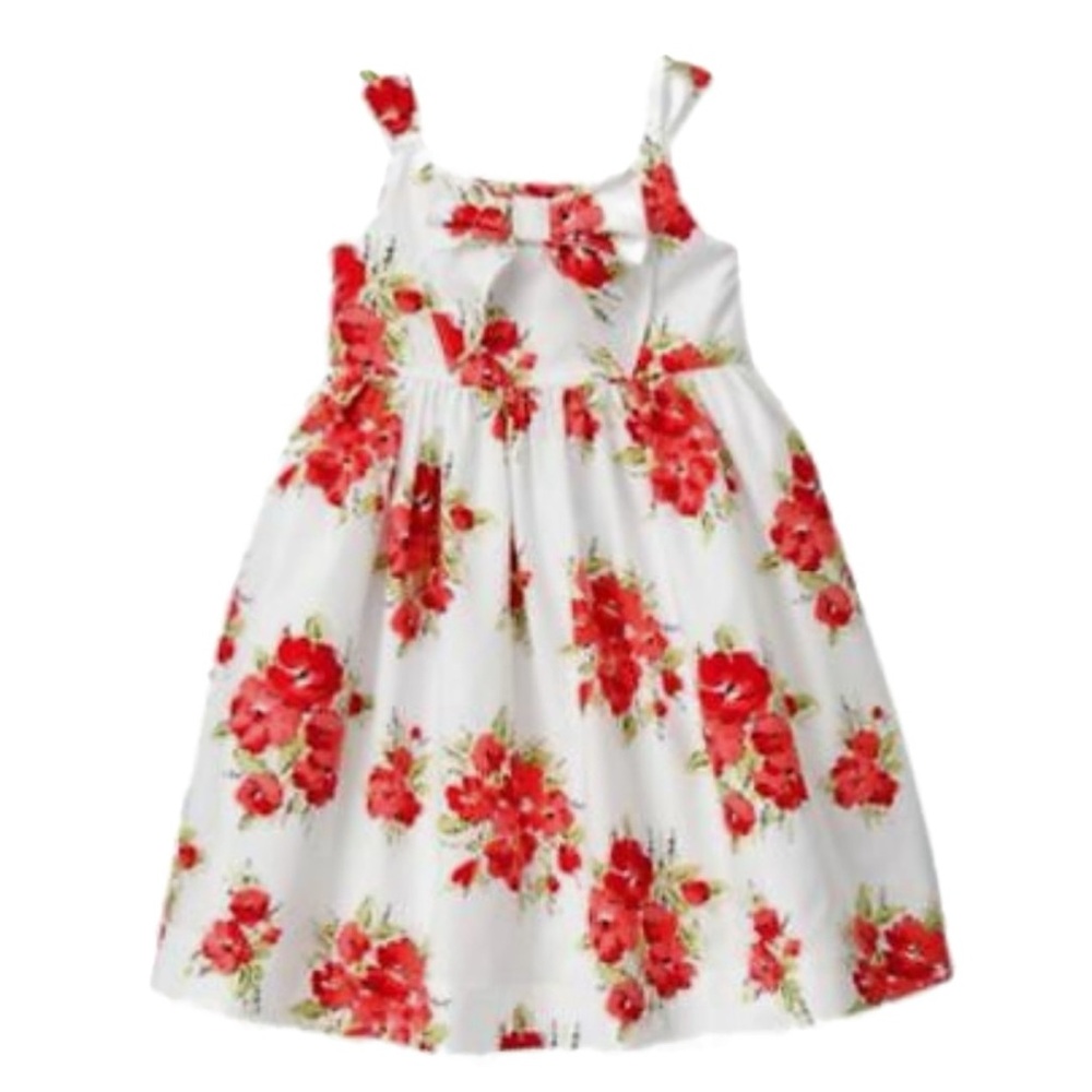 Janie and Jack Camellia Fully Lined 100% Cotton Floral Pattern Sleeveless Dress